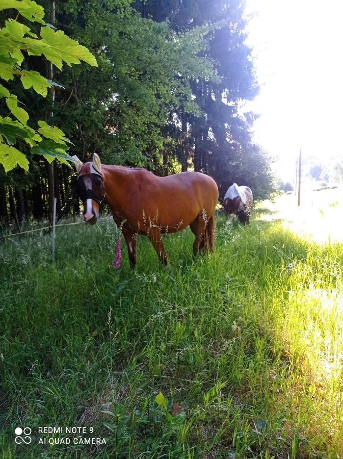 Apartmany U Becova Nad Teplou Bečov nad Teplou Buitenkant foto