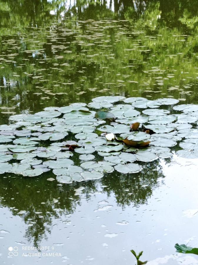 Apartmany U Becova Nad Teplou Bečov nad Teplou Buitenkant foto