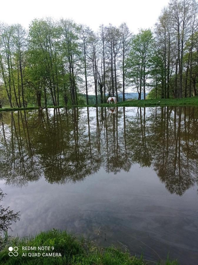 Apartmany U Becova Nad Teplou Bečov nad Teplou Buitenkant foto